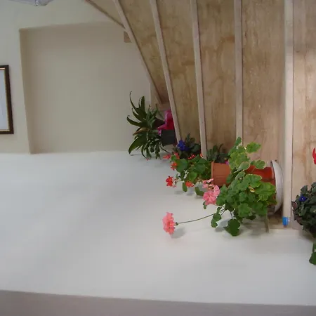 Guest house Titanik Sile